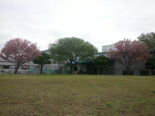 07.jpg