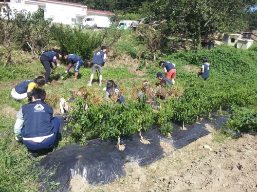 KakaoTalk_20140915_122512699.jpg