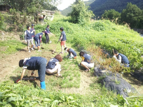 KakaoTalk_20140915_122331585.jpg