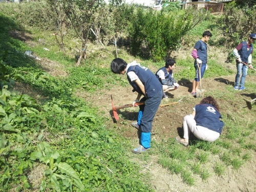 KakaoTalk_20140915_122345479.jpg