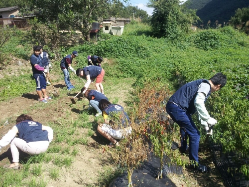 KakaoTalk_20140915_123046897.jpg