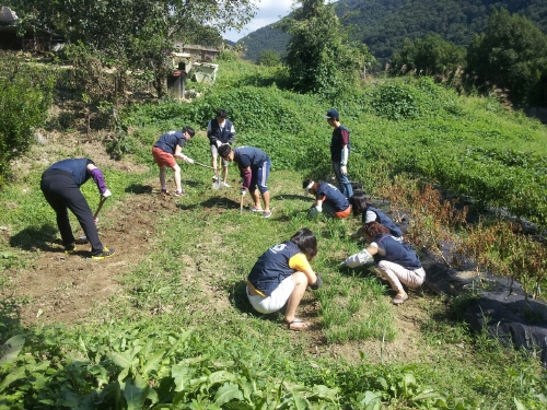 KakaoTalk_20140915_122445412.jpg