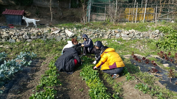 KakaoTalk_20151130_190301075.jpg